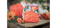 Pumpkin - 2.0 - Fall collection